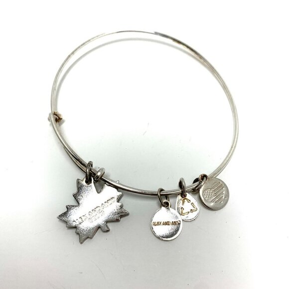 Alex and Ani Beleaf in Yourself Charm Bracelet Silver Finish - 2.0”-3.5” - Picture 3 of 3